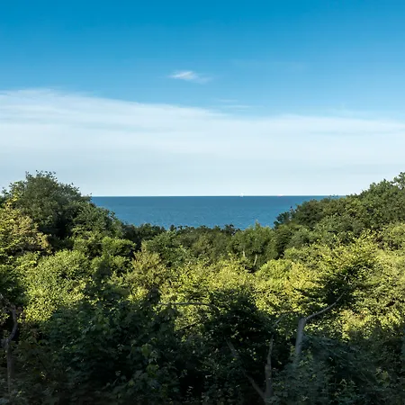 Hotel - Hotel, Conference & 4*