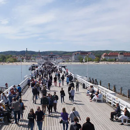 - Hotel, Conference & Отель 4*